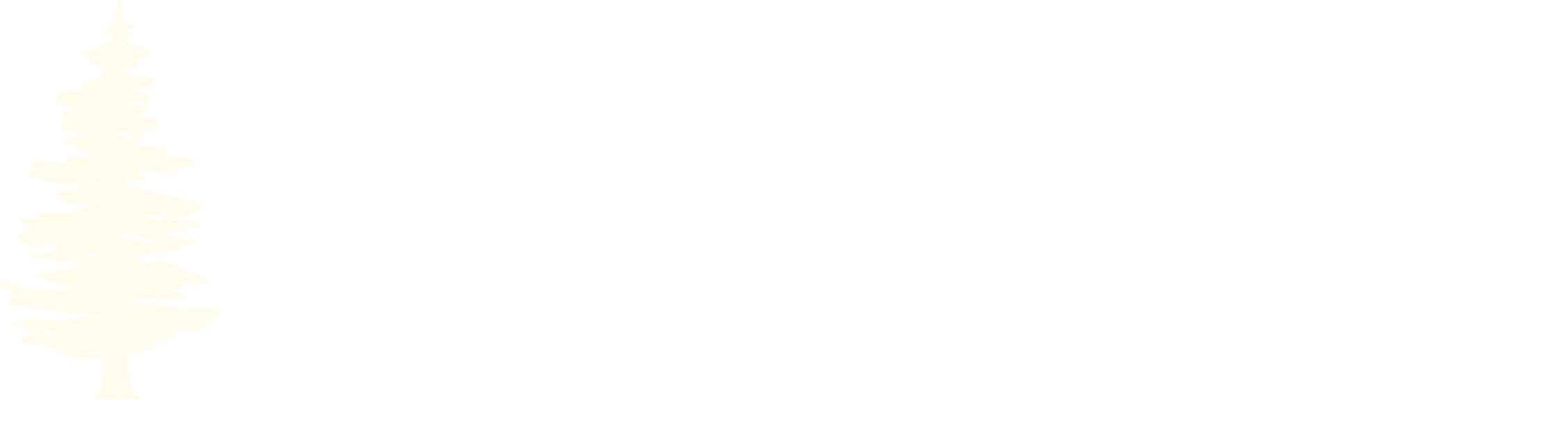 Pinehurst Apartment Services